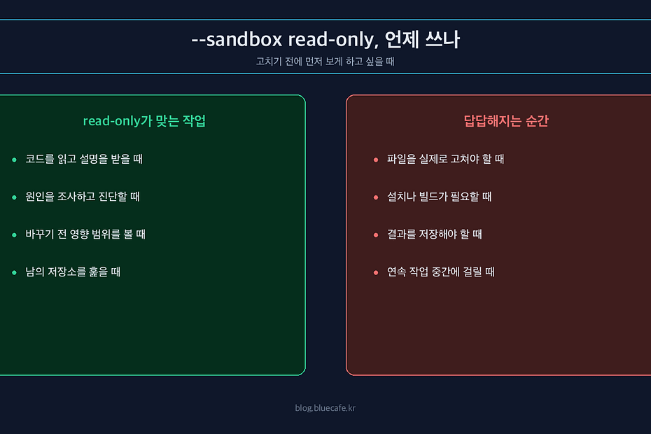 Codex CLI에서 --sandbox read-only를 써야 하는 때